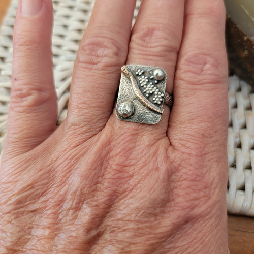 Mixed Metal Winding Path Funky Ring