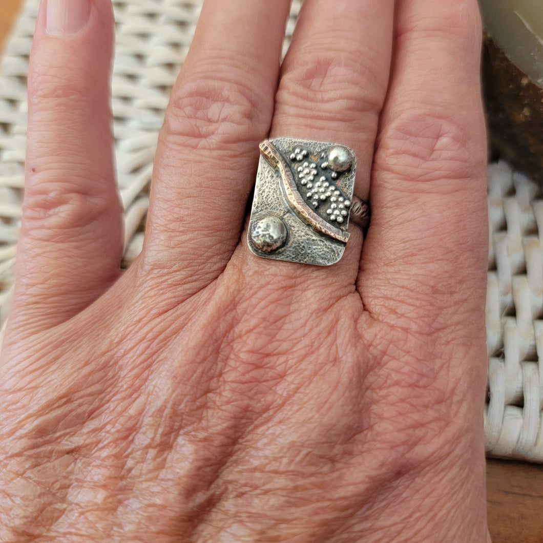 Mixed Metal Winding Path Funky Ring
